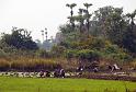 Burma III-081-Seib-2014